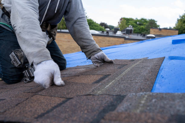 Best Metal Roofing Contractor  in Abram, TX